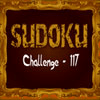 Sudoku 117