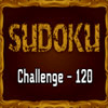 Sudoku 120