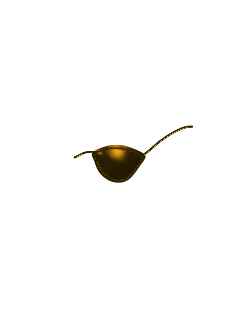 Female Eyepatch Brown