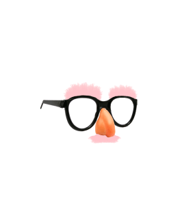 Female Fun Glasses Pink