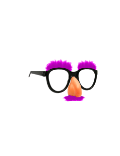 Female Fun Glasses Purple