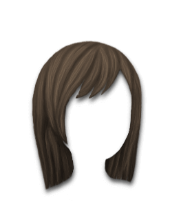 Female Hair #2 Medium Brown