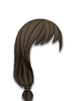 Female Hair #6 Medium Brown
