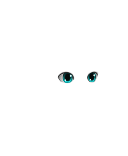 Male Eyes #1 Aqua