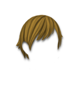 Male Hair #1 Dark Blond