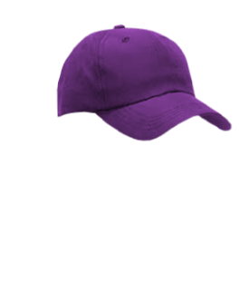 Male Hat #6 Purple